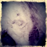 face in the snow