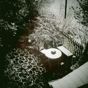 snow_in_the_garden ©LondonSE4